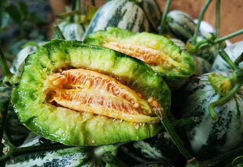 山东网红吃烧瓜视频,火辣滋味引发网友热议  第2张