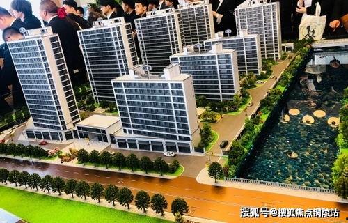 奇葩活动爆料视频大全最新,奇葩活动爆料视频大全盘点